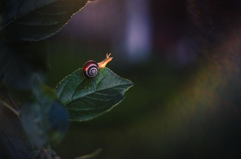 В неизведанные далиphoto preview