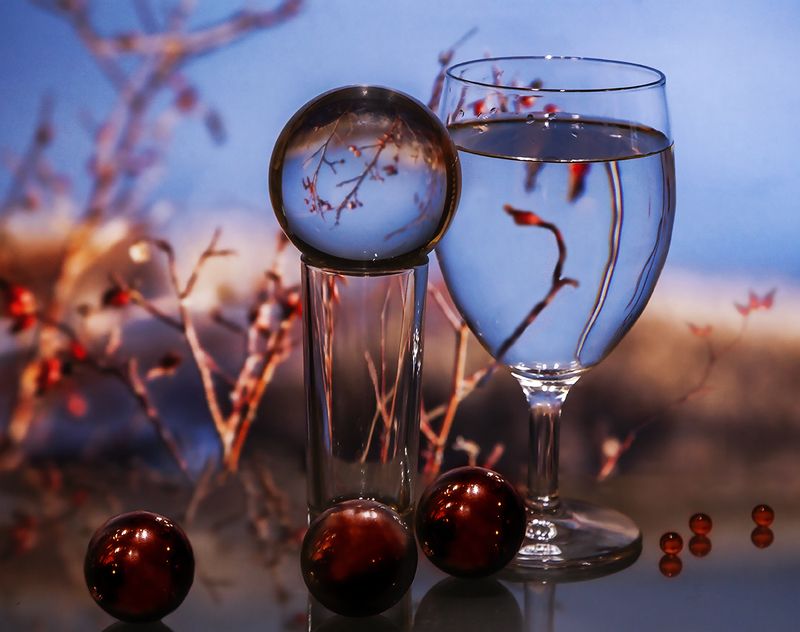 Осенний шиповникphoto preview