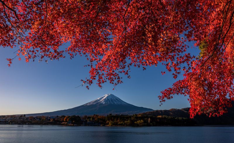 fuji landscape japan autumn nature mountain lake travel [ The majestic Mt. Fuji of autumn season ]photo preview