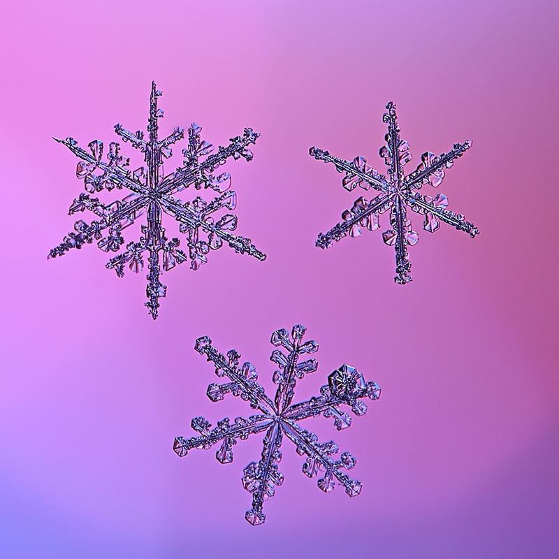 снежинка, снежинки, макро, природа, кристалл, зима Три по триphoto preview