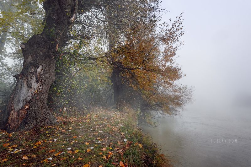 Кубанское ноябрьское 2018 #3photo preview