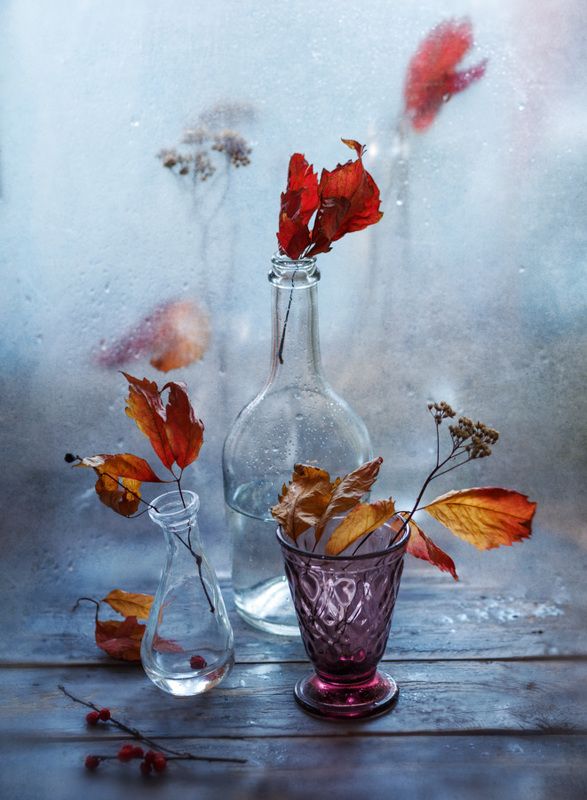 полиэтилен, осень, капли, бутылка Последние капли осениphoto preview