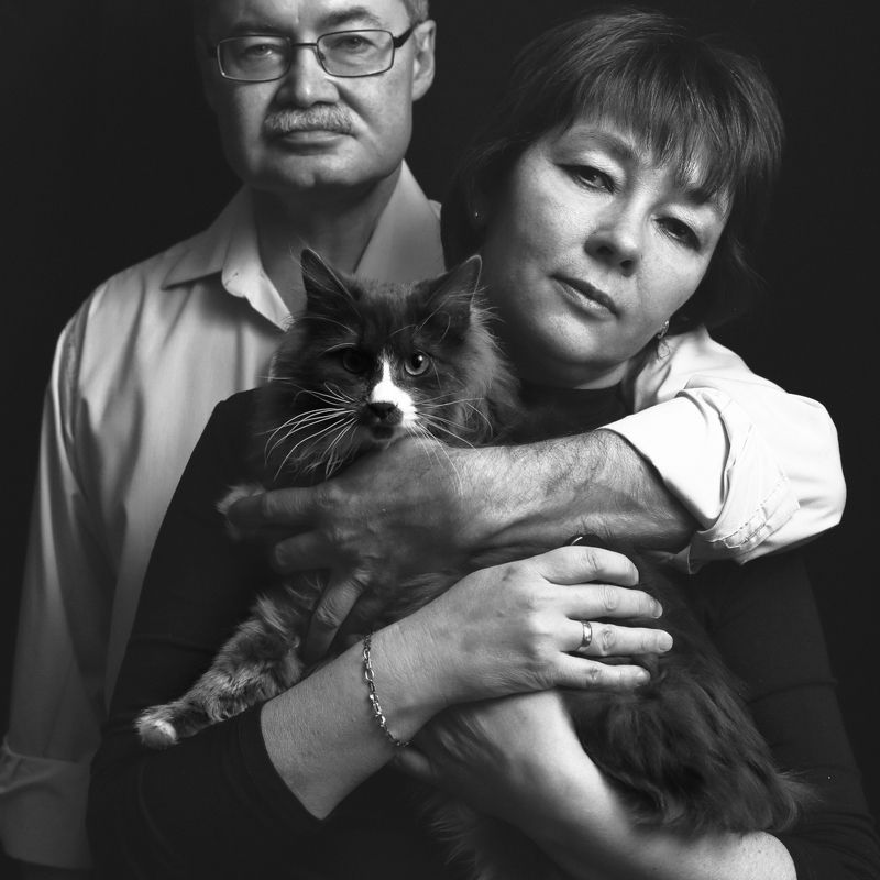 Портрет кота и его окружениеphoto preview