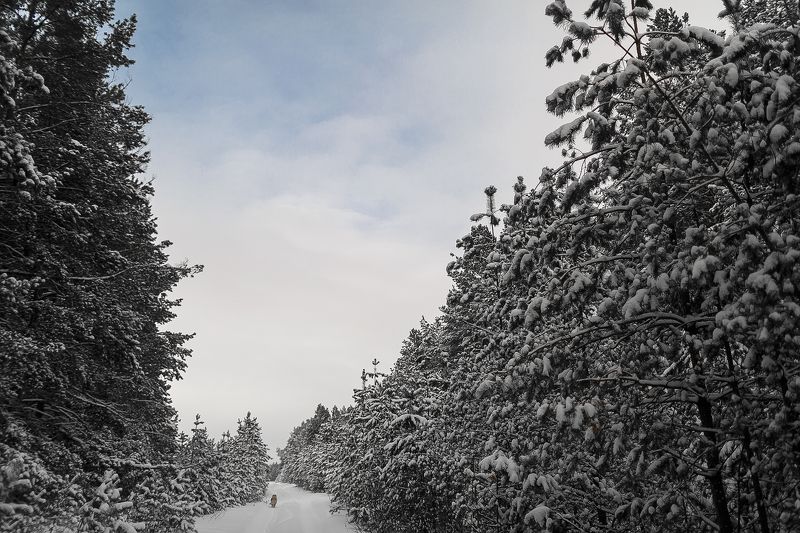 С Первым Днем Зимы!photo preview