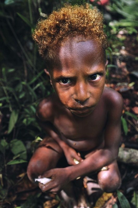 короваи, папуа, джунгли, новаягвинея, портрет, korowai, tribe, papua Дитя джунглейphoto preview