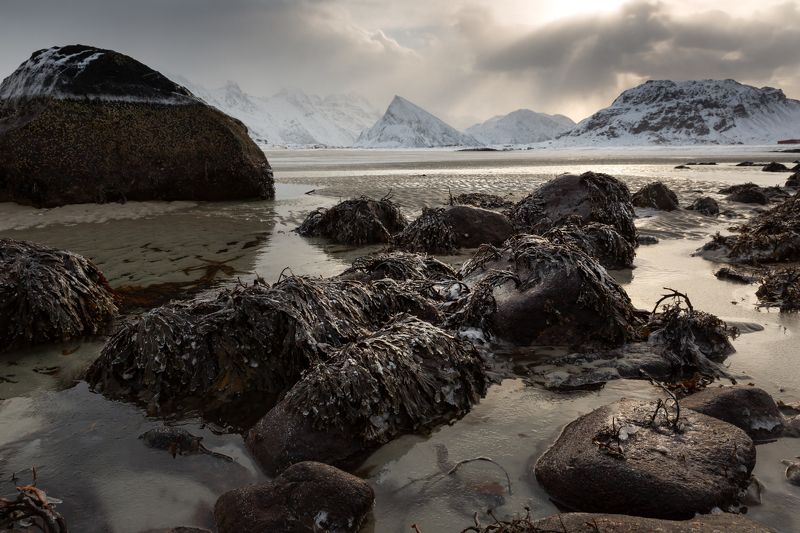 спящий тролль фото превью