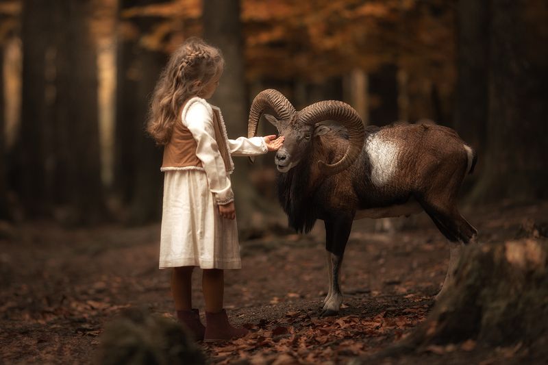 Мой другphoto preview