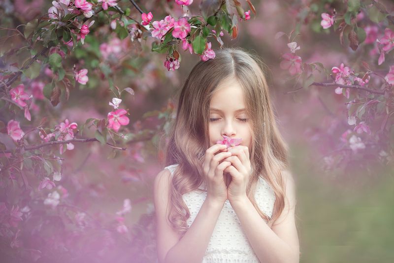 цветения дыхание весныphoto preview