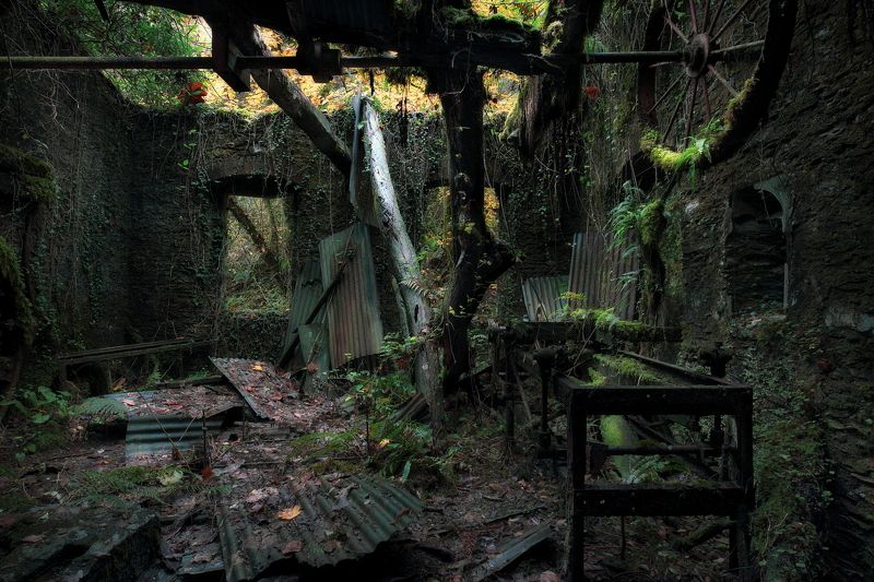 old country of minesphoto preview