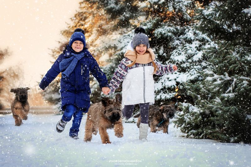 собака, анималистика, зима, дети, бриар, щенки Новые друзьяphoto preview