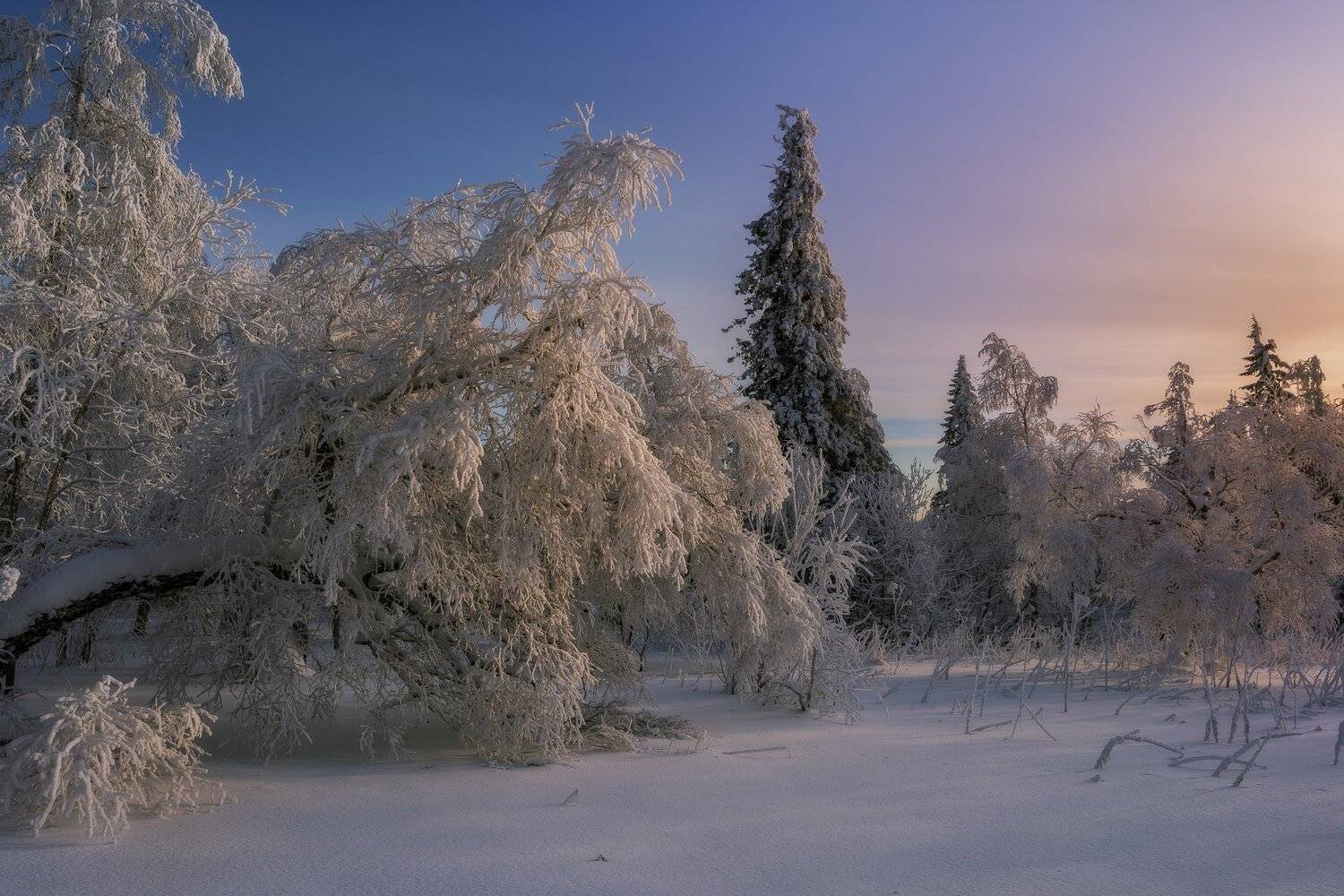 *******. Автор: Андрей Шарапов , Андрей Шарапов