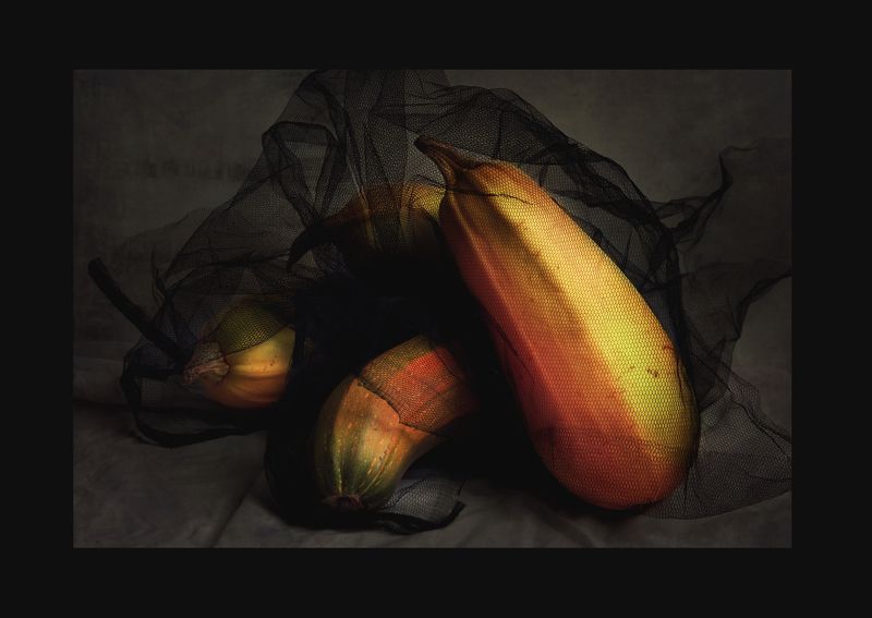 Classical still lifephoto preview