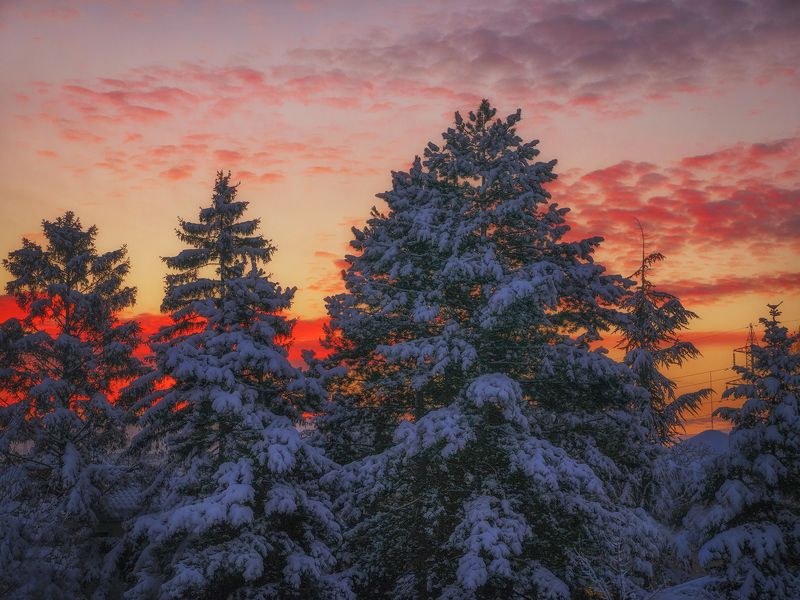 Зимаphoto preview