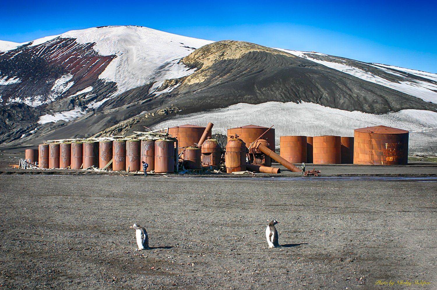 Антарктида 29. Автор: Николай Шелепов , Николай Шелепов