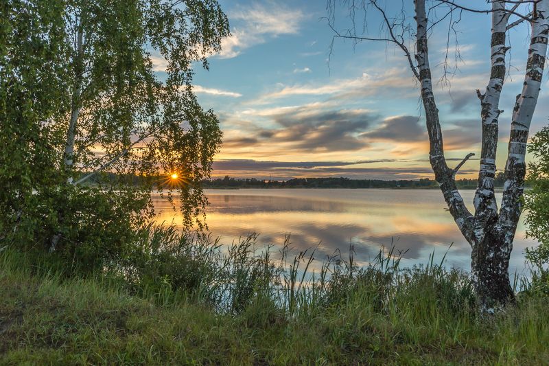 утро, рассвет, озеро, лето, дерево, солнце У засохшей берёзы.photo preview
