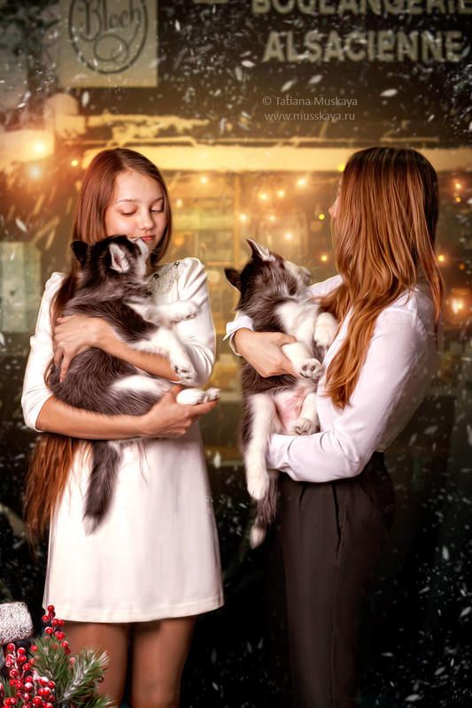 новогодняя фотосессия Рождественская булочнаяphoto preview