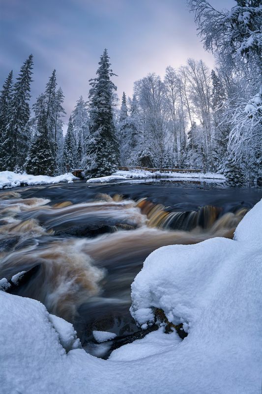 карелия, рускеала, тохмайоки, зима Зимнее утро на берегу реки Тохмайокиphoto preview
