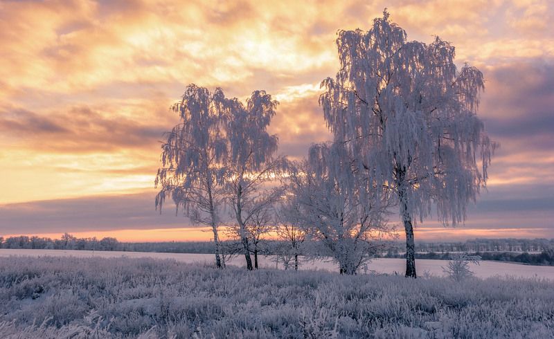 украина, ukraine, харьков, kharkov, kharkiv Утро на Харьковщине.photo preview