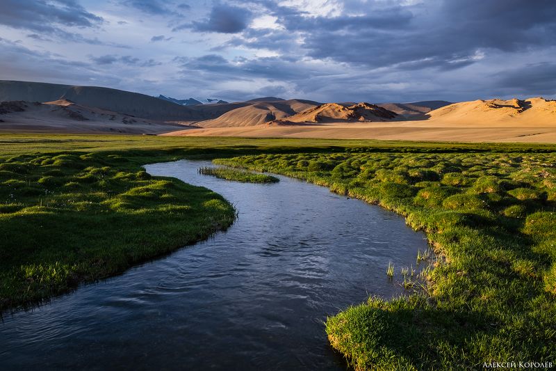 монголия, горы, алтай, закат, ручей, природа, пейзаж, лето, mongolia, mountains, altai, sunset, stream, nature, landscape, summer Горный ручейphoto preview