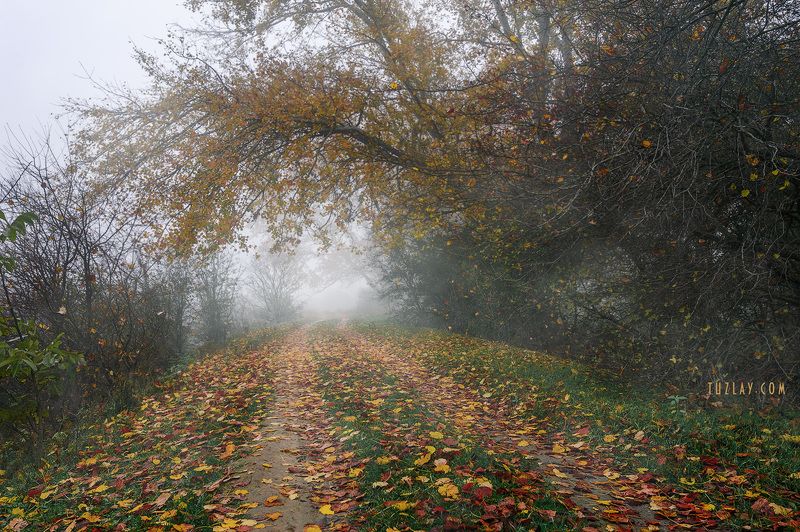 кубань, ноябрь, кубанские туманы, таманский полуостров, темрюк Кубанское ноябрьское 2018 #4photo preview