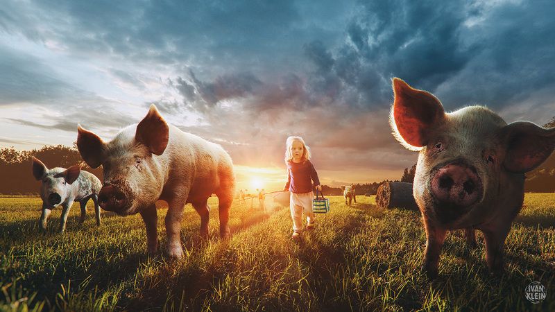 свинья,свиньи,поросенок,животное,животные,ребенок,девочка,детство,пастух,природа,закат,фотоарт,коллаж,фотоманипуляция,photomanipulation,digitalart,art,collage,mattepaint, Master Of Pigletsphoto preview