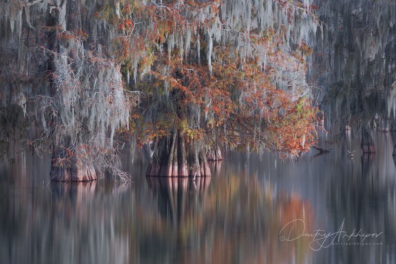 Отражениеphoto preview