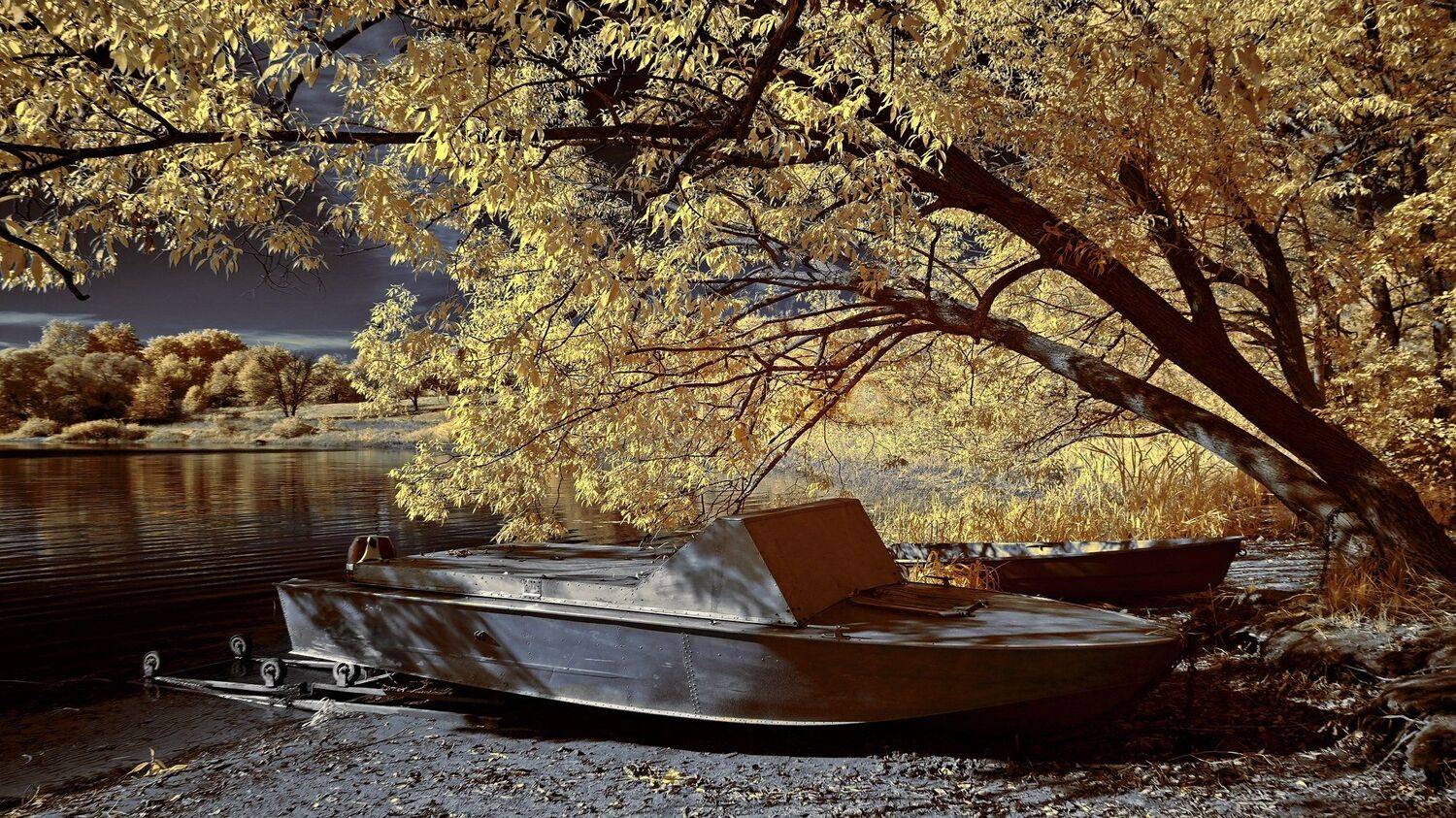 В теплом свете октября. Инфракрасная фотография.. Автор: Sixten ( Сергей ) , Sixten ( Сергей )