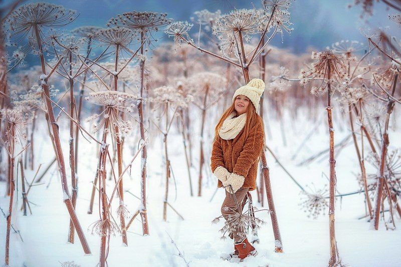 Fairy tailphoto preview