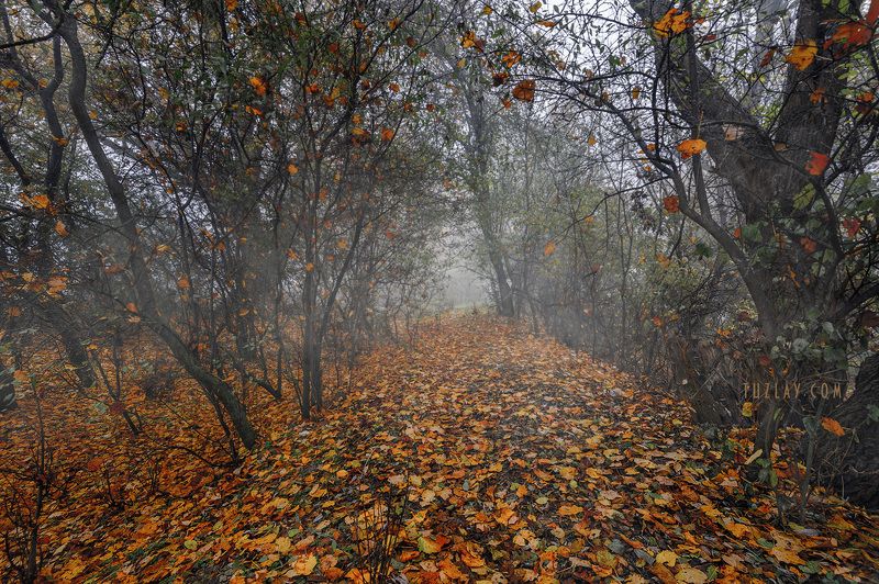 кубань, ноябрь, кубанские туманы, таманский полуостров, темрюк Кубанское ноябрьское 2018 #5photo preview