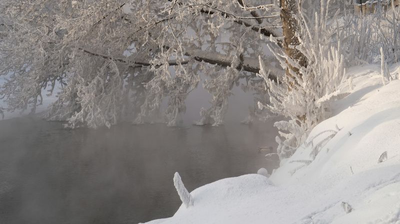 Зимняя сказкаphoto preview