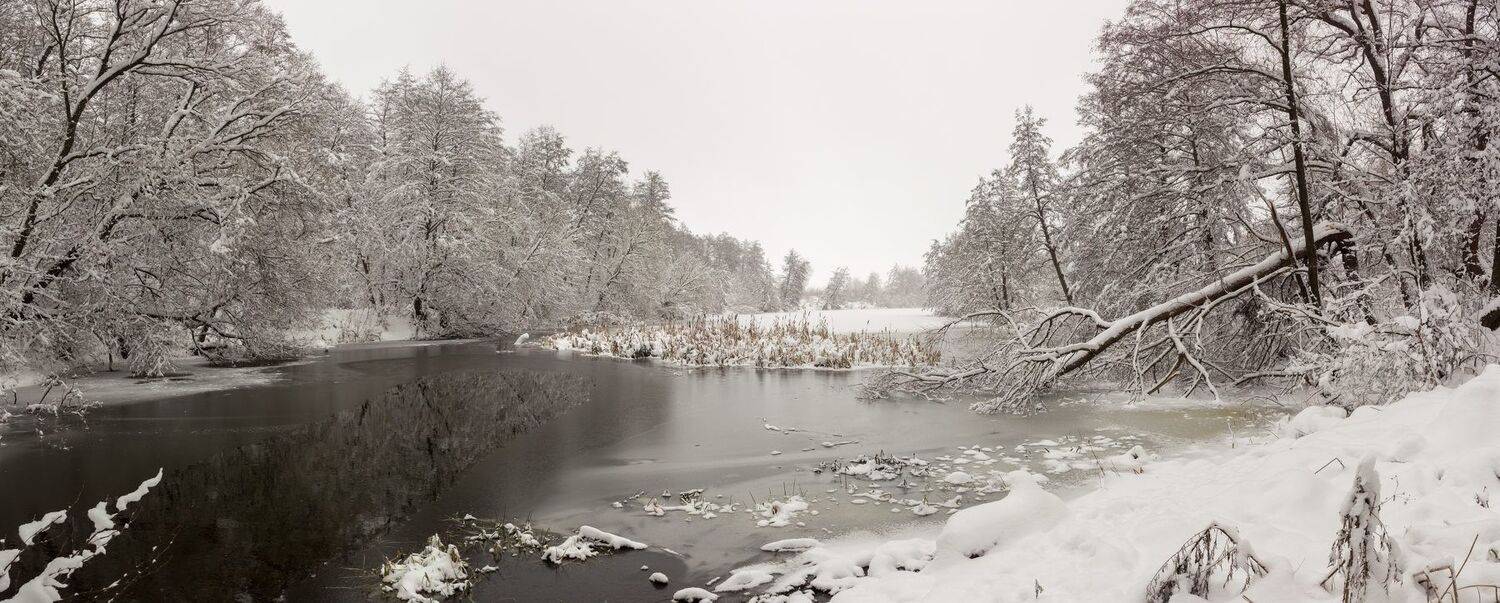 Автор: Руслан Востриков лес, снег, река, ноябрь, зима, Руслан Востриков