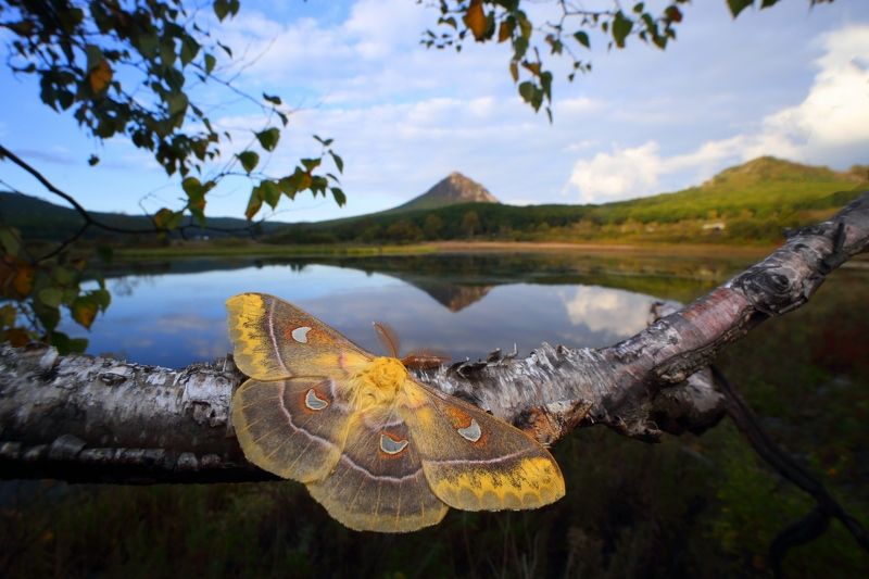 Любимый крайphoto preview