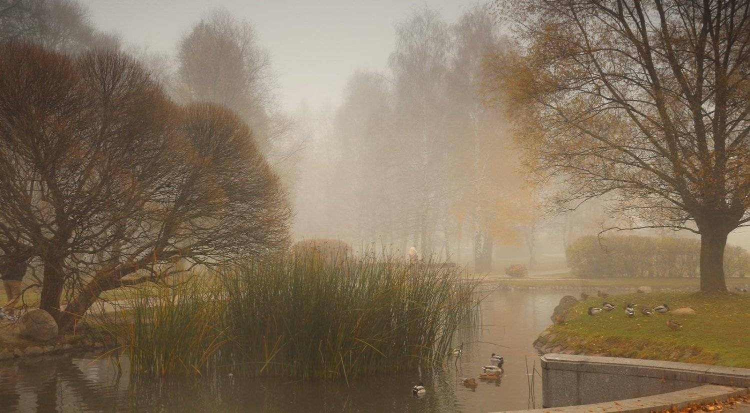 У старым парку. Автор: Валерий Козуб , Валерий Козуб