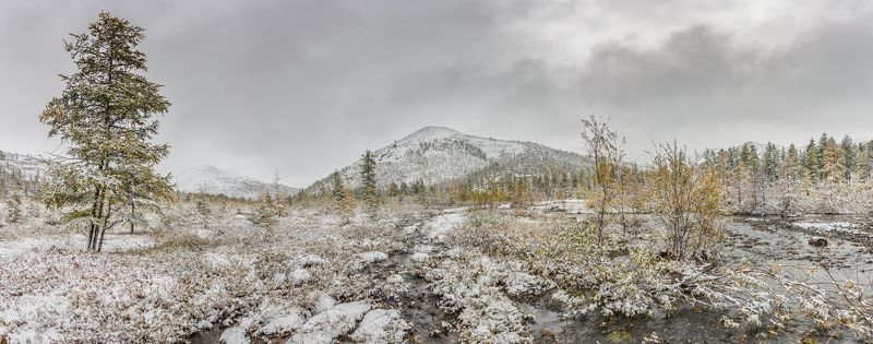 Первый снег.photo preview