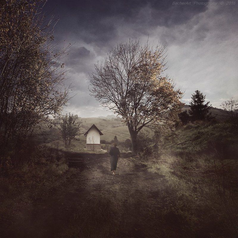 emotions Life\'s Path Vphoto preview