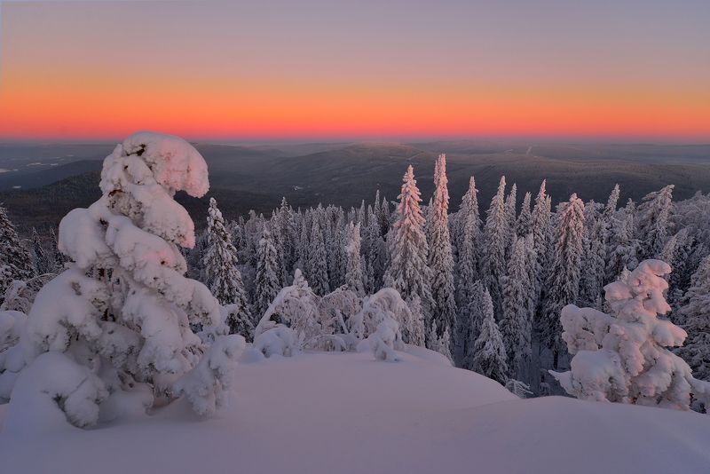 Зимнее море тайгиphoto preview
