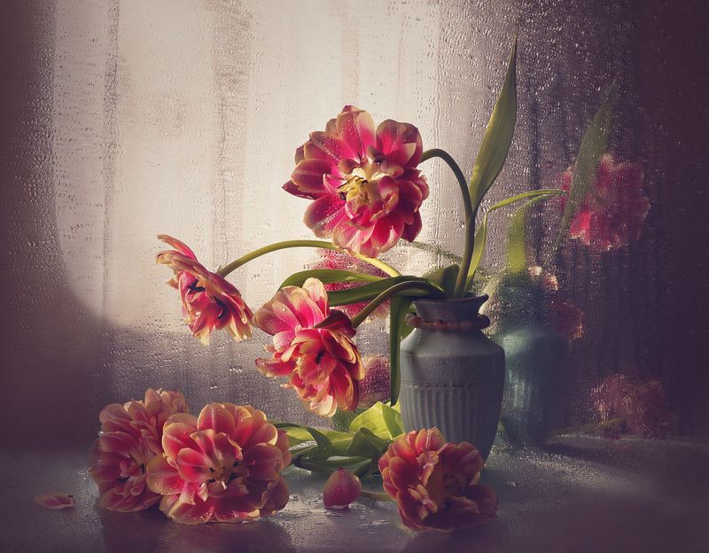 Свет в каждом днеphoto preview