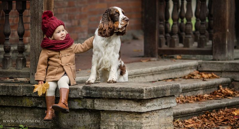 Осеньphoto preview