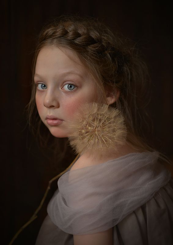 Tragopogonphoto preview