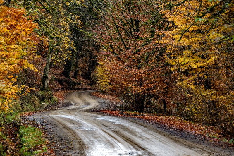 азербайджан ленкорань село осень пейзаж природа Горная дорога в осень - зимой : Ленкоранский районphoto preview