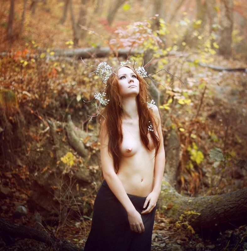 осень ...photo preview