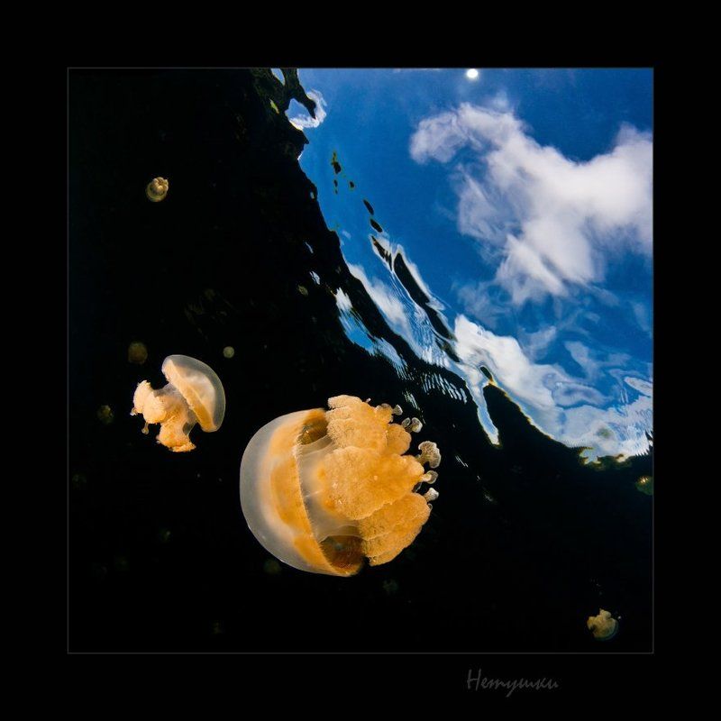 гдетотам Сферы ... фото превью