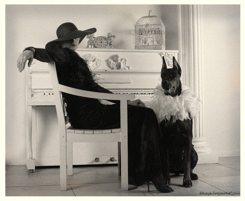 две звездыphoto preview