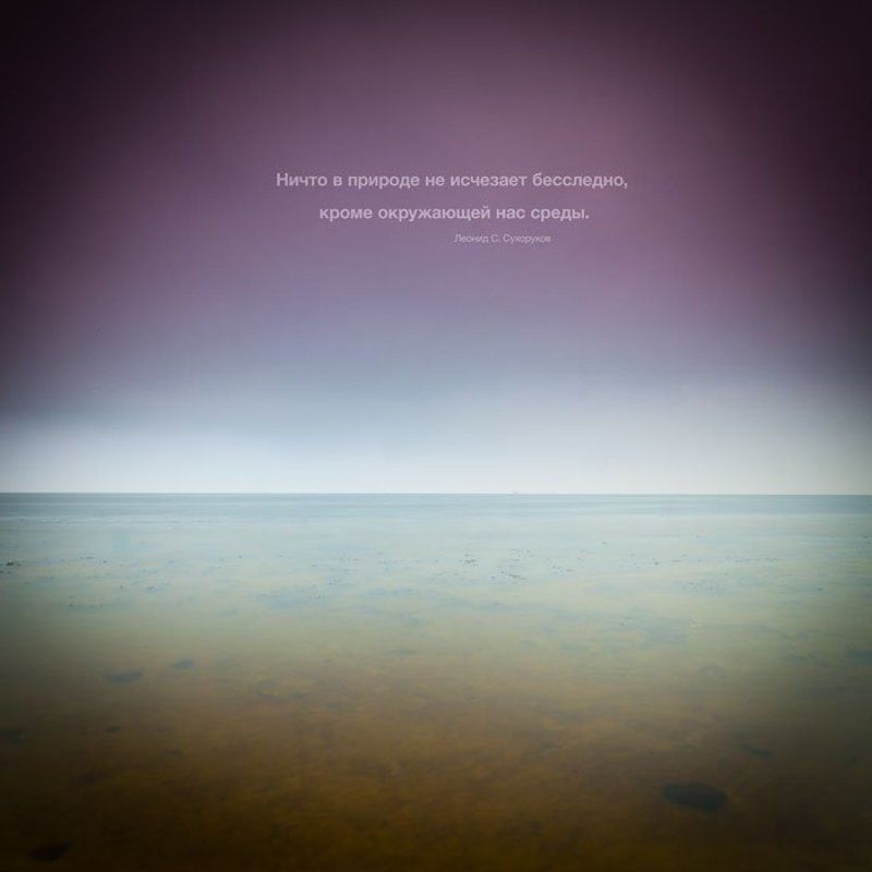 пейзаж, цитата, минимал, экология \