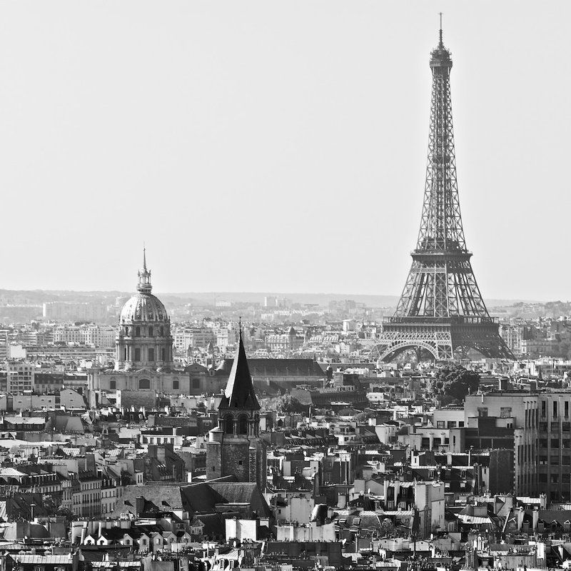 paris, france Parisphoto preview