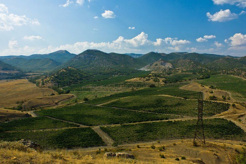 Весь мир на ладони....photo preview