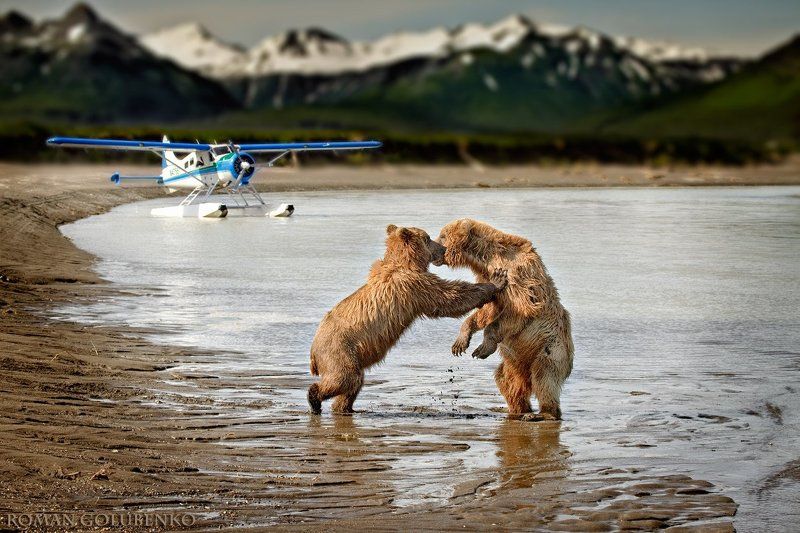 Прощай, турыст!  //  Kiss and Fly,  Alaska Style.photo preview