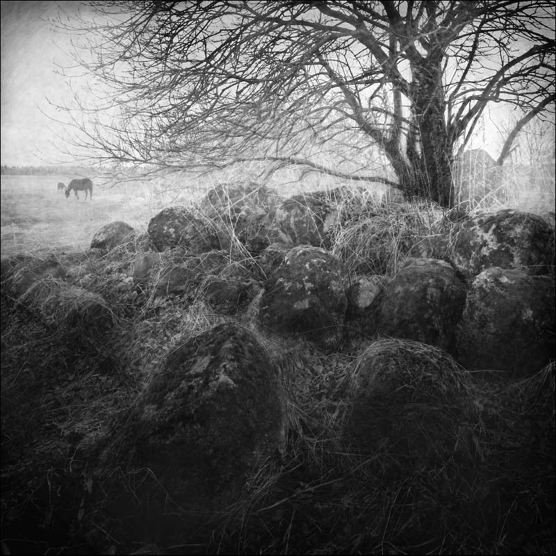 На камняхphoto preview