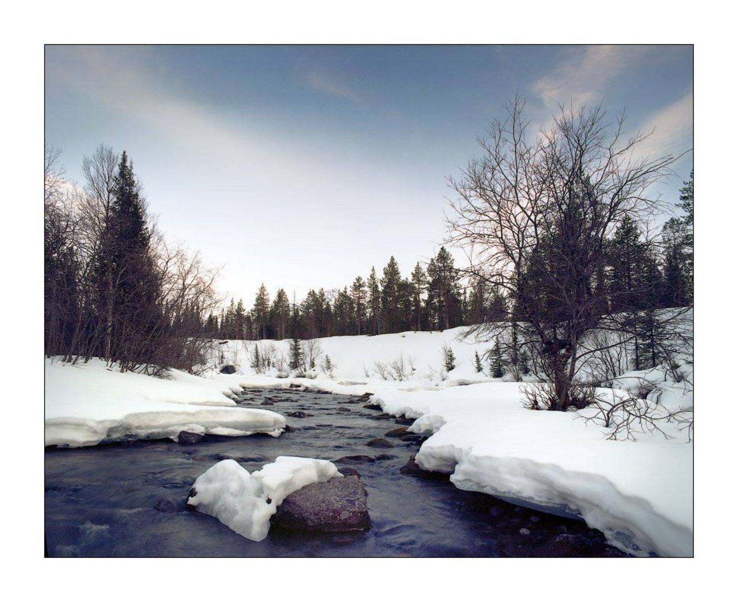 mformat, Дима Лялин