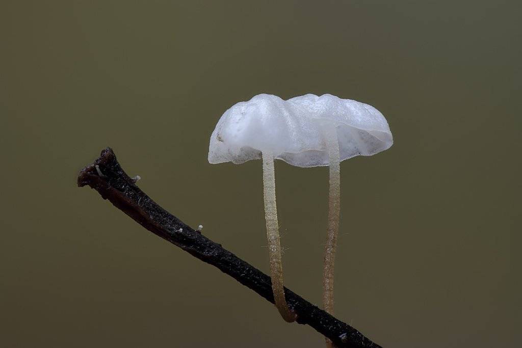 Родители и дети. Автор: Сергей Таланов , Сергей Таланов